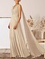 billige Bryllupsgæstekjoler-A-Line Bryllupsgæst Kjoler Elegant Kjole Bryllupsgæst Engagement Gulvlængde Uden Ærmer V-Hals Efterårs Bryllupsgæst Chiffon med Applikationer