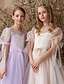 billige Blomsterpigekjoler-Ballkjole Knælængde Blomsterpige Kjole Quinceanera Frozen Elsa Piger Søde Prom Kjole Tulle med Rynkeret Royal Stil Tutu Fit 3-16 År