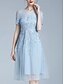 economico Lunghezza del tè-Linea ad A Abito Lunghezza al ginocchio Vestito da Festa Abito da Cocktail Abito da invitata a nozze Abito da cerimonia per signora Manica Corta Girocollo Elegante Formale Ospite di nozze Serata