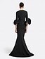 economico NERO-Abito da sera Sirena  Tromba Nero Vestito Elegante Formale Lunghezza al pavimento Maniche lunghe V Collo Crepe elasticizzato con Ruching