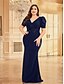 voordelige BLAUW-Zeemeermin  Trompet Plus Size Jurken Elegante Curve Jurk Formele Bruiloft Vloerlengte Korte Mouw V-hals Polyester met Applicaties