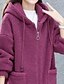 abordables chaquetas sherpa-Mujer Chaqueta de lana Mantiene abrigado Cómodo Cremallera Bolsillo Exterior Estilo callejero Plano Noche Casual Diario Fin de semana Cremallera Regular Sudadera Ajuste regular Manga Larga Ropa de