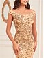 abordables Semi-formal / Cóctel-Vestidos A-Line de Quinceañera Vestido Elegante Formal Boda Longitud de Piso Sin Mangas Sin Hombros con Lentejuelas y Lentejuelas