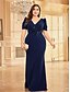 voordelige BLAUW-Zeemeermin  Trompet Plus Size Jurken Elegante Curve Jurk Formele Bruiloft Vloerlengte Korte Mouw V-hals Polyester met Applicaties