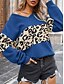 ieftine Modele grafice și detalii-Pentru femei Bluză Leopard Stilat Casual Manșon Lung În V Topuri obișnuite Zilnic Imprimeu Alb Roșu Vin Albastru piscină Gri Vară Primăvară