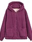 abordables chaquetas sherpa-Mujer Chaqueta de lana Mantiene abrigado Cómodo Cremallera Bolsillo Exterior Estilo callejero Plano Noche Casual Diario Fin de semana Cremallera Regular Sudadera Ajuste regular Manga Larga Ropa de
