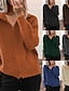 abordables Cardigans et vêtements d&#039;extérieur-Femmes Pull Cardigan Élégant Mode Streetwear Couleur Unie Col de chemise Fermeture éclair Tricoté manche longue Hauts Réguliers Tricoter Extérieur Quotidien Week-end Noir Bleu Automne Hiver