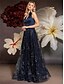 ieftine albastru-Rochii A-Line pentru Quinceanera Rochie Elegantă Formală pentru Nuntă Lungime de Pardoseală Fără Mâneci Gât în V Poliester cu Plisaje