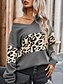 ieftine Modele grafice și detalii-Pentru femei Bluză Leopard Stilat Casual Manșon Lung În V Topuri obișnuite Zilnic Imprimeu Alb Roșu Vin Albastru piscină Gri Vară Primăvară
