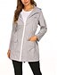 abordables Abrigos &amp; Trench-Mujer Chaqueta con capucha Cómodo Transpirable Cremallera Bolsillo Casual Plano Exterior Vacaciones Calle Ropa Cotidiana Cremallera Regular Con Capucha Ajuste regular Manga Larga Ropa de calle Negro