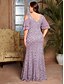 cheap Semi-formal / Cocktail-Mermaid / Trumpet Evening Gown Elegant Dress Formal Wedding Floor Length Short Sleeve V Neck Lace with Embroidery