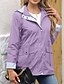 abordables chaqueta activa-Mujer Gabardina Impermeable Mantiene abrigado Cremallera Bolsillo Moda Exterior Plano Noche Fin de semana Cremallera Regular Con Capucha Ajuste regular Manga Larga Ropa de calle Negro Amarillo Vino
