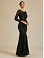 tanie Formalne zimowe-Damskie Sukienka maxi Sukienka ołówkowa Elegancja Wieczorna impreza Regularny Jednokolorowe Długi rękaw Półgolf Czarny Jesień Zima