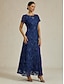 billiga Nyårsklänningar-Dam Maxiklänning Sheath Dress Elegant party cocktail Normal Ensfärgat Kortärmad Rund hals Marinblå