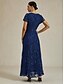 billiga Nyårsklänningar-Dam Maxiklänning Sheath Dress Elegant party cocktail Normal Ensfärgat Kortärmad Rund hals Marinblå