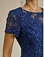 billiga Nyårsklänningar-Dam Maxiklänning Sheath Dress Elegant party cocktail Normal Ensfärgat Kortärmad Rund hals Marinblå