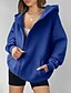 abordables Sweatshirts et Hoodies Texturés-Femmes Sweats à capuche zippés Uni Occasionnel manche longue À capuche Hauts Réguliers Rue Fête Sortir Fermeture éclair Avec Poches Bleu Marron Gris Claire Automne Hiver