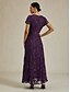 abordables Robe de cocktail-Femmes Robe maxi Robe fourreau Élégant Fête cocktail Coupe régulière Couleur Unie Manche Courte Col ras du cou Aubergine Été Printemps
