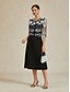preiswerte Blazer &amp; Anzüge-Damen Blazer Leicht Spitze Bestickt Elegant Blumen Formell Kurz Rundhalsausschnitt Normale Passform Dreiviertelarm Oberbekleidung Schwarz Sommer Frühling