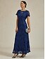 billiga Nyårsklänningar-Dam Maxiklänning Sheath Dress Elegant party cocktail Normal Ensfärgat Kortärmad Rund hals Marinblå