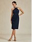 baratos Vestido Simples-Mulheres Vestido midi Vestido da bainha Elegante Casamento Festa Convidado do casamento Normal Côr Sólida Sem Manga Halter pescoço Ombro a Ombro Azul Marinha Outono Inverno