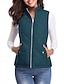 voordelige Donsvesten-Dames Vest Straat Casual Casual / Dagelijks Herfst Winter jas Normale pasvorm Hedendaags Stijlvol Casual Jacks Mouwloos Effen Kleur Met zakken Licht Blauw bordeaux Zee blauw