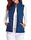 voordelige Donsvesten-Dames Vest Straat Casual Casual / Dagelijks Herfst Winter jas Normale pasvorm Hedendaags Stijlvol Casual Jacks Mouwloos Effen Kleur Met zakken Licht Blauw bordeaux Zee blauw