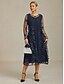 abordables Blazers et Costumes-veste femme manteau blazer dentelle brodée paillettes élégant floral formel anniversaire mariage invité cocktail fête ouvert devant long col rond coupe régulière manches longues vêtements d&#039;extérieur