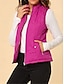 voordelige Donsvesten-Dames Vest Straat Casual Casual / Dagelijks Herfst Winter jas Normale pasvorm Hedendaags Stijlvol Casual Jacks Mouwloos Effen Kleur Met zakken Licht Blauw bordeaux Zee blauw