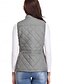 voordelige Donsvesten-Dames Vest Straat Casual Casual / Dagelijks Herfst Winter jas Normale pasvorm Hedendaags Stijlvol Casual Jacks Mouwloos Effen Kleur Met zakken Licht Blauw bordeaux Zee blauw