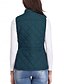 voordelige Donsvesten-Dames Vest Straat Casual Casual / Dagelijks Herfst Winter jas Normale pasvorm Hedendaags Stijlvol Casual Jacks Mouwloos Effen Kleur Met zakken Licht Blauw bordeaux Zee blauw