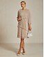 abordables Robe de cocktail-Femmes Robe Midi Robe fourreau Robe Plissée Robe dos nu Élégant Fête Formel Soirée robe demoiselle d honneur Cocktail Coupe régulière Couleur Unie Sans manches Col ras du cou Dorée rose Été Printemps