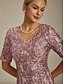 ieftine Rochie simplă-Rochie midi pentru femei, rochie dreaptă, elegantă, cu paiete, brodate, sclipici, petrecere, nuntă, croială standard, model floral, mânecă scurtă, decolteu în V, roz pal, primăvară, toamnă, iarnă