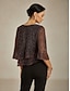 billige Kjolebluser-Dame Bluse Dressy topper Flytende topper Chiffongoverdeler Paljetter Flettet Lapper Elegant Årgang Stilfull 3/4 ermer Crew-hals Båthals Daglig Arbeid Date Night antrekk Vin Vår Høst