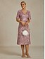 ieftine Rochie simplă-Rochie midi pentru femei, rochie dreaptă, elegantă, cu paiete, brodate, sclipici, petrecere, nuntă, croială standard, model floral, mânecă scurtă, decolteu în V, roz pal, primăvară, toamnă, iarnă