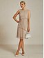 abordables Robe de cocktail-Femmes Robe Midi Robe fourreau Robe Plissée Robe dos nu Élégant Fête Formel Soirée robe demoiselle d honneur Cocktail Coupe régulière Couleur Unie Sans manches Col ras du cou Dorée rose Été Printemps