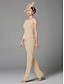 abordables Costumes-pantalons pour maman-Combinaison Tailleur-Pantalon Trois Pièces Longueur au sol Robe de Mère de Mariée  manche longue Col Bateau Élégant Grande taille Echarpe incluse Formel robe demoiselle d honneur Chiffon Echarpe