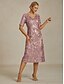 ieftine Rochie simplă-Rochie midi pentru femei, rochie dreaptă, elegantă, cu paiete, brodate, sclipici, petrecere, nuntă, croială standard, model floral, mânecă scurtă, decolteu în V, roz pal, primăvară, toamnă, iarnă