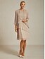 abordables Robe de cocktail-Femmes Robe Midi Robe fourreau Robe Plissée Robe dos nu Élégant Fête Formel Soirée robe demoiselle d honneur Cocktail Coupe régulière Couleur Unie Sans manches Col ras du cou Dorée rose Été Printemps