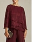 voordelige Chique Blouses-Dames Kanten overhemd Blouse Geklede topjes Chiffon-topjes Asymetrische zoom Effen Kleur Bloemig Elegant Stijlvol Casual Halve mouw Flutter mouw Boothals Normale tops Dagelijks Werk Bruiloft gast Wijn
