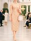 abordables Longueur du thé-Robe fourreau colonne longueur sol Robe en dentelle longueur thé Robe de bal Robe de fête Robe mère de la mariée Manches longues encolure ras du cou Élégante Vintage Luxueuse Formelle Dentelle avec