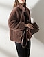 abordables Vestes Sherpa-Femmes Manteau d'Hiver Veste Sherpa Veste Décontractée Chaud Confortable Avec Poches Moderne Occasionnel Uni Vacances Rue Tenue quotidienne Sortir Fermeture éclair Régulier Col montant Coupe régulière