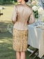 ieftine Seturi de rochii pentru mama-Set de rochii din două piese Sheath Column Lungime ceai Rochie cocktail Rochie pentru invitată la nuntă Rochie pentru mama miresei Mâneci lungi V gât Elegant Vintage Petrecere cu broderie