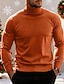 tanie sweter męski sweter-Męskie Świąteczny sweter Świąteczne swetry Sweter z golfem Sweter świąteczny Sweter sweter Prążkowany Robić na drutach Zwykłe topy Dzianiny Podstawowy Równina Golf Zatrzymujący ciepło Współczesny