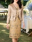 ieftine Seturi de rochii pentru mama-Set de rochii din două piese Sheath Column Lungime ceai Rochie cocktail Rochie pentru invitată la nuntă Rochie pentru mama miresei Mâneci lungi V gât Elegant Vintage Petrecere cu broderie