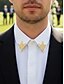 billiga Herrslipsar &amp;amp; flugor-Herrbrosch med halsband i legering – elegant vintagedesign med kristalldetaljer, finns i flera färger, perfekt för formella evenemang och affärskläder