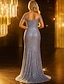 ieftine Rochii de seară tip sheath-Rochie tip Fustă  Coloană cu lungimea podelei Rochie de petrecere Rochie de cocktail Rochii de Quinceanera Elegante Petreceri Mâneci fără mâneci Pe umăr Rochie de seară cu fante cu paiete