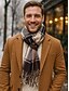 abordables Cravates et nœuds papillon pour hommes-Écharpe pour homme en imitation laine et polyester, motif à carreaux, plusieurs couleurs, idéale pour offrir.