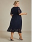 ieftine Rochii-Pentru femei Rochii Midi Rochii din Șifon Rochie A line Elegant Cu Mâneci Largi Zilnic Plajă Invitat la nunta Cu Șiret Fit regulat Floral Manșon Jumate Stil Nautic Bleumarin
