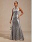 voordelige Jurken met pailletten-Dames Maxi-jurk Schede jurk Elegant Grafisch Mouwloos Opstaand Zilver